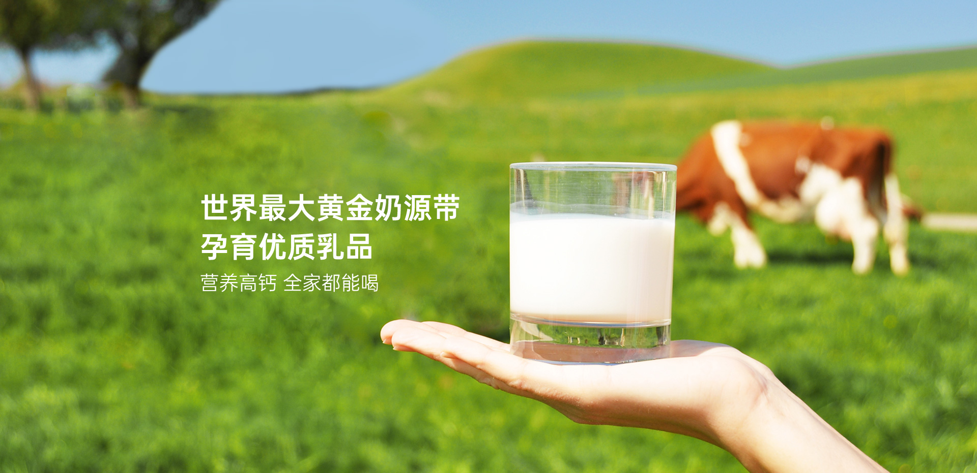./img/轮播图2.jpg